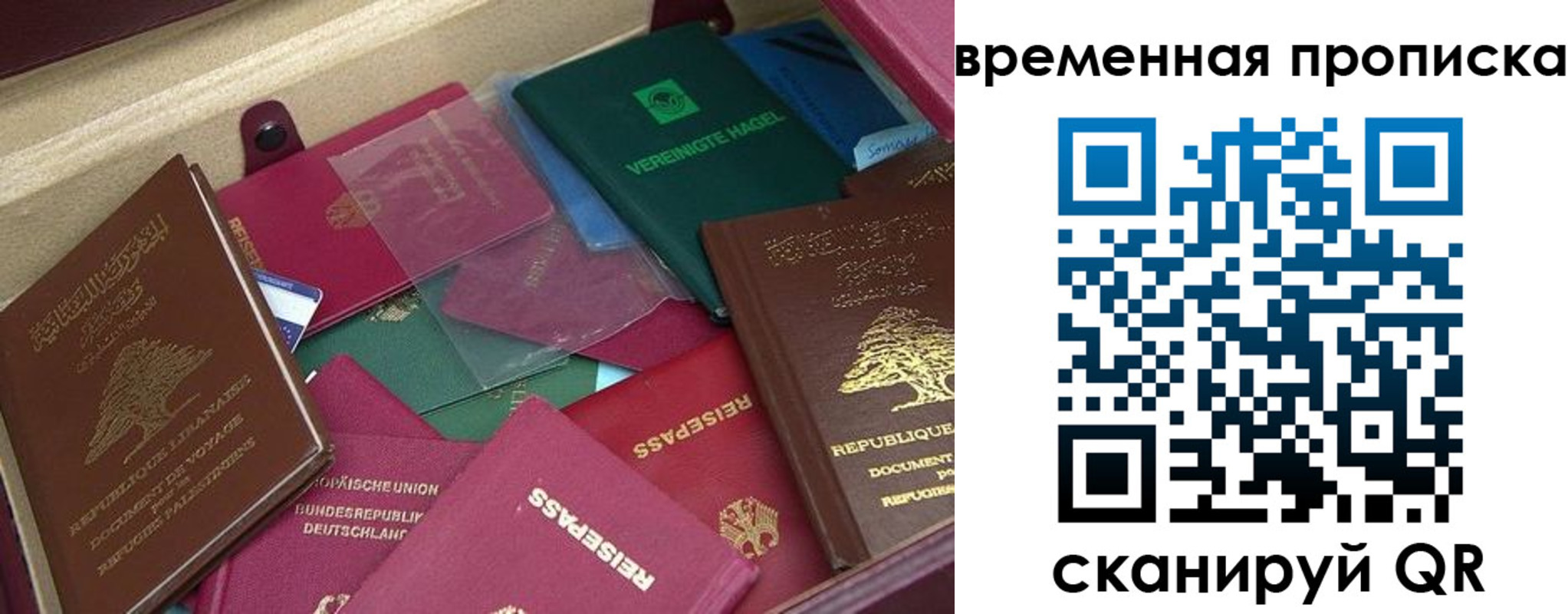 прописка в Благодарном